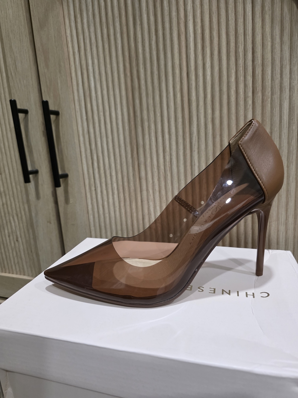 Darling Brown Transparent Pointed Stiletto Pump